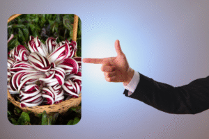 GI Tag Micro Entrepreneurs