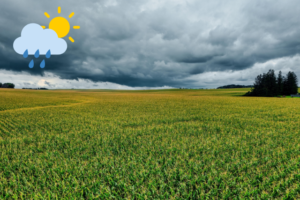 weather-forecast-sites