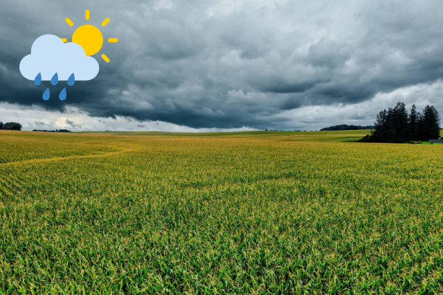 weather-forecast-sites